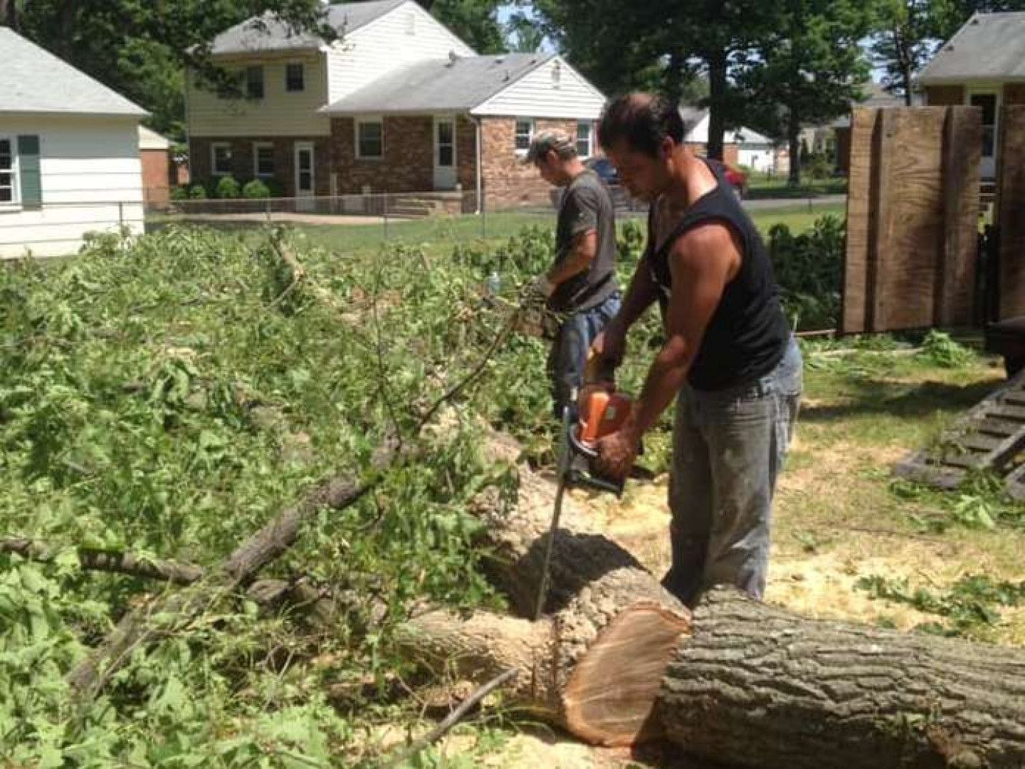 Emergency Tree Removal, Professional Tree Removal Services in Richmond